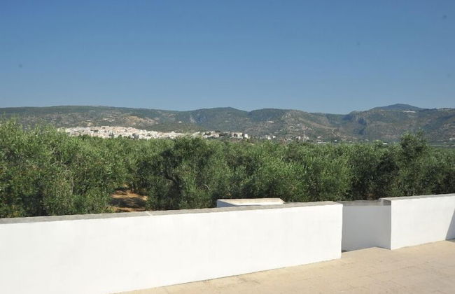 Villa Melena - Photo 11