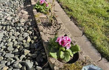 Zur schönen Rosenblüte, Ferienhaus - Foto 9