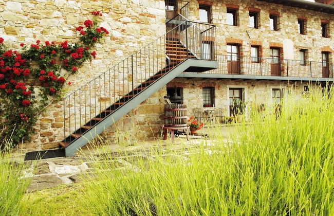 L'Uva e le stelle - Foto 50