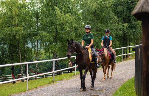 Bacówka Biały Jeleń - Photo 42