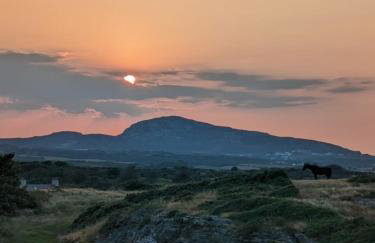 Trearddur Bay, Holyhead Studio - Photo 28