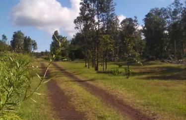 Simply convenient tropical country studio - Foto 26