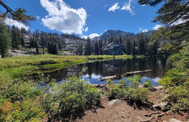 Ski In Ski Out PT Lodge 2BR 2BA Hot Tubs - Foto 29