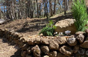 Woods Etna Chalet - Foto 31