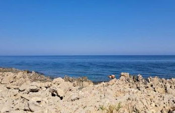 CASA CAVORA - Villa Petunie - Foto 15