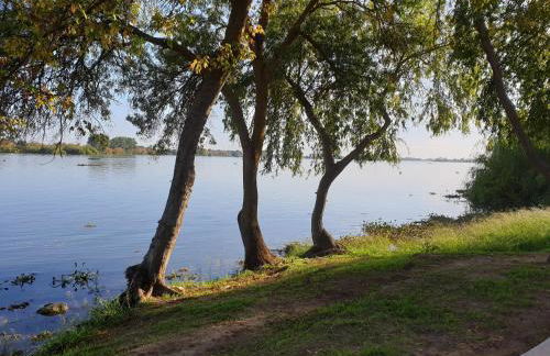 Casa Lusitano by Valada Village - Foto 36