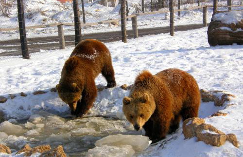 Apartments Božić - Foto 61