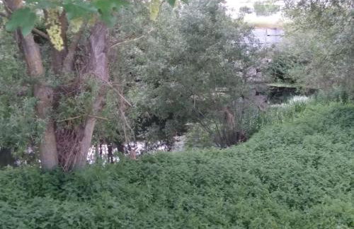 Ático Rosita en Camino de Santiago - Foto 17