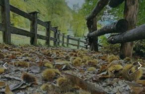 La finestra sul giardino - Edolo - Foto 33