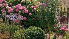 GÎTE NOTRE-DAME 3p - Foto 4