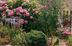 GÎTE NOTRE-DAME 3p - Foto 4