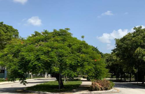 Orange You Glad you came - Photo 7