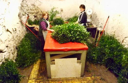 Casa Celestine in Via Orsini Isolabona Liguria Italy Sleeps 5 - Foto 51