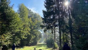 Ferienwohnung Marktstrasse - Foto 4
