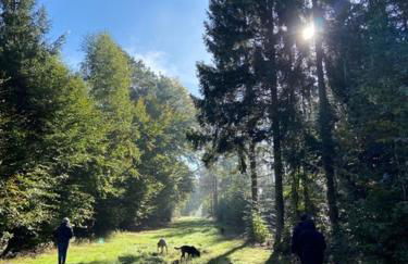 Ferienwohnung Marktstrasse - Foto 4