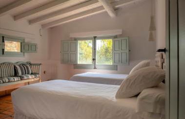 Abejas 2 de El Vergel de Chilla - Photo 32