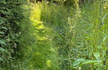 Barnacle Barn, North Norfolk - Foto 39