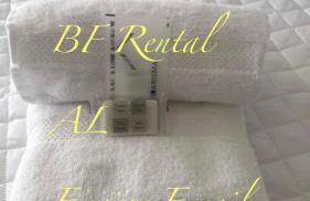 Caramulo Quinta do Paulo - Foto 33