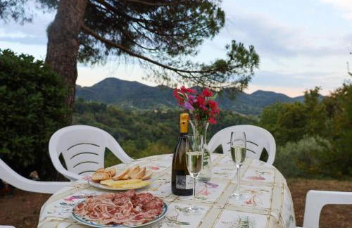 Tenuta da Mosè con vista sui colli asolani - Foto 14