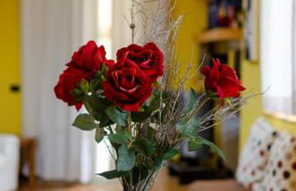 POLICLINICO HOME - Foto 21