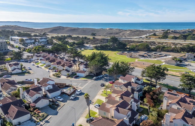 Succulents & Seashells Coastal Paradise by Beach - Foto 31