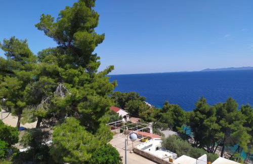 Apartments Surjan - Photo 8