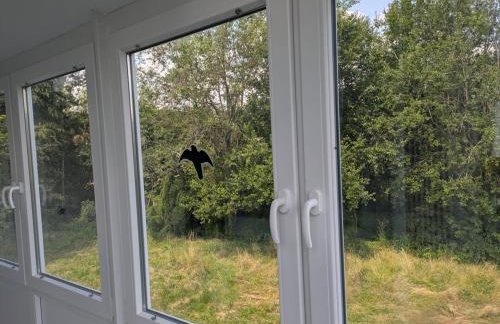 Spacious and Luminous Apartment in a Bungalow - Foto 8