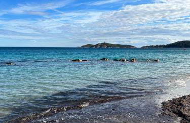 Maison SAINTE LUCIE DE PORTO-VECCHIO - Foto 27