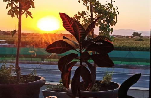 Chalet con piscina y jardín, no fumadores ni fiestas - Foto 46