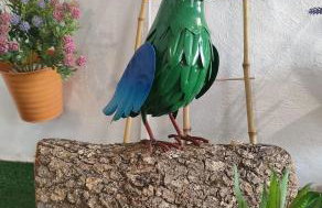 Casa Mayago, terraza y solárium - Foto 44