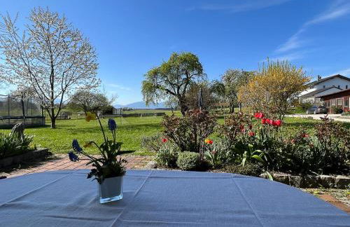 Ferienwohnungen Loisenhof - Foto 20