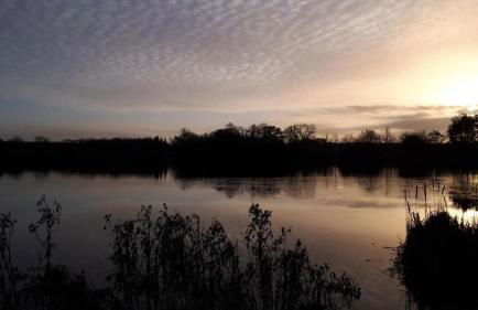 Erdgeschoss-Appartement mit Seeterasse - Foto 26