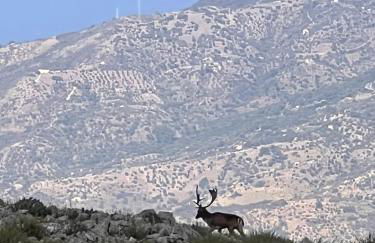 Mandra Chiusilla - Foto 32