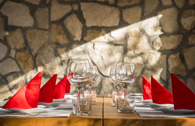 Victorious VIScovery Green - Foto 31