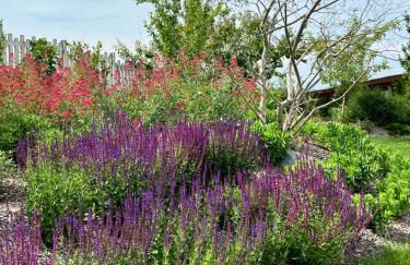 Villa Jilla - Foto 42