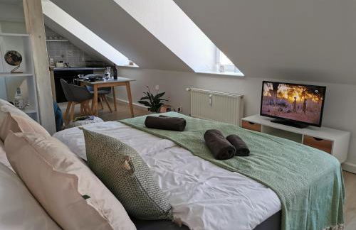 Fynbos Studio DG in der Altstadt, Frauenkirchenblick, Parkplatz - Foto 18