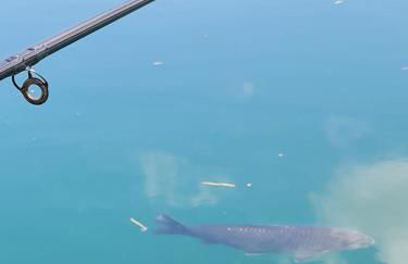 4 Bed Luxury Lodge with Hot tub near Lake District - Foto 72