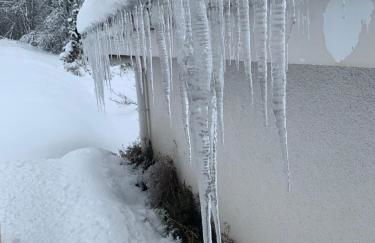 Schwarzwaldblick - Foto 3