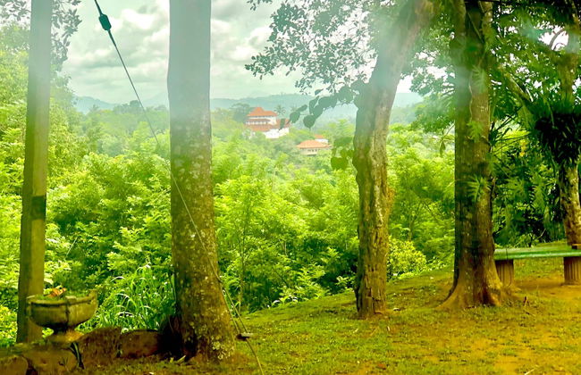 Captain's Bungalow - Foto 28