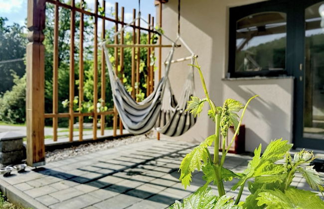 Vineyard cottage Matej - Foto 34