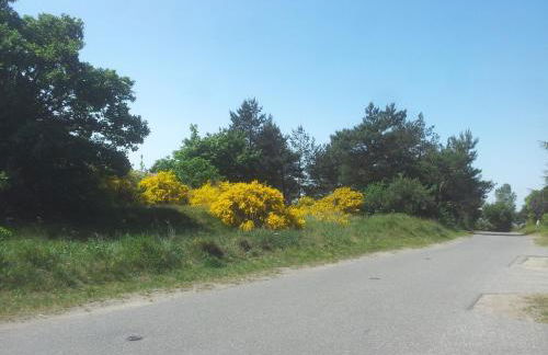 Ferienhäuschen - Foto 39