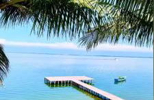 Casa oliveira - Photo 13