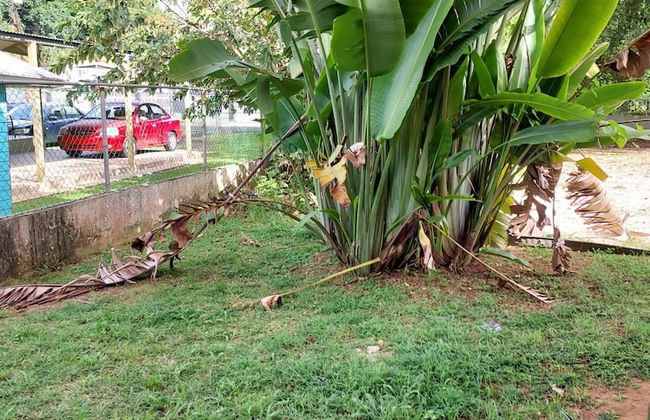 Experiencia De Confort Y Relajacion, Apto 5 - Foto 9