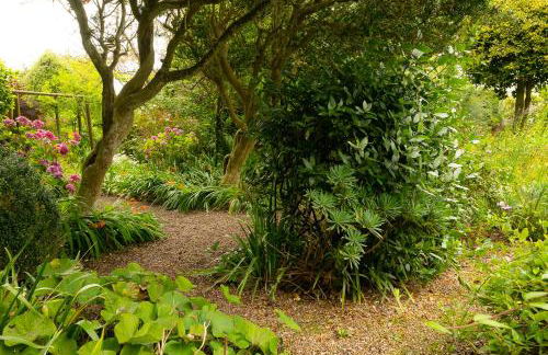 Blackbird Cottage - Foto 29