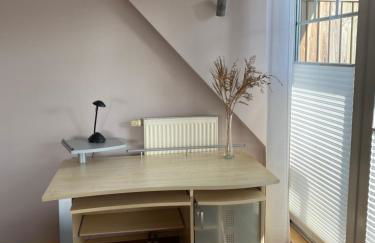 Moderne Maisonette-Wohnung am Karpfenteich; modern Apartment with view of the carp pond - Foto 29