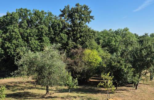 La Rosa Rossa - Foto 36