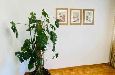 La Fayona,Relax y desconexión al lado de Gijon - Foto 16