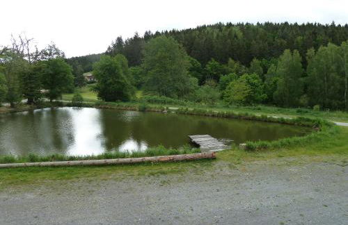 Ferienwohnungen am Büchlhof im Oberpfälzer Seenland - Foto 43