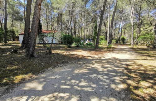 Maisonnette en pleine nature - Foto 11