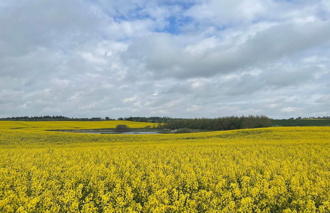 5 Person Holiday Home in Thisted-by Traum - Foto 7